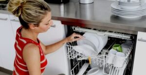 how to get rid of ants in dishwasher