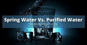 spring water vs. purified water