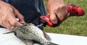 how do electric fillet knives work