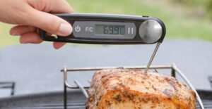 purchasing an electronic meat thermometer