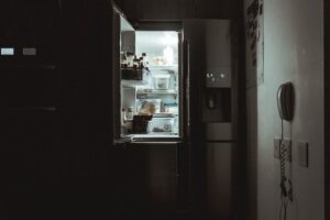 refrigerator upkeep and odour removal guide