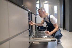 the importance of regular dishwasher maintenance for optimal performance