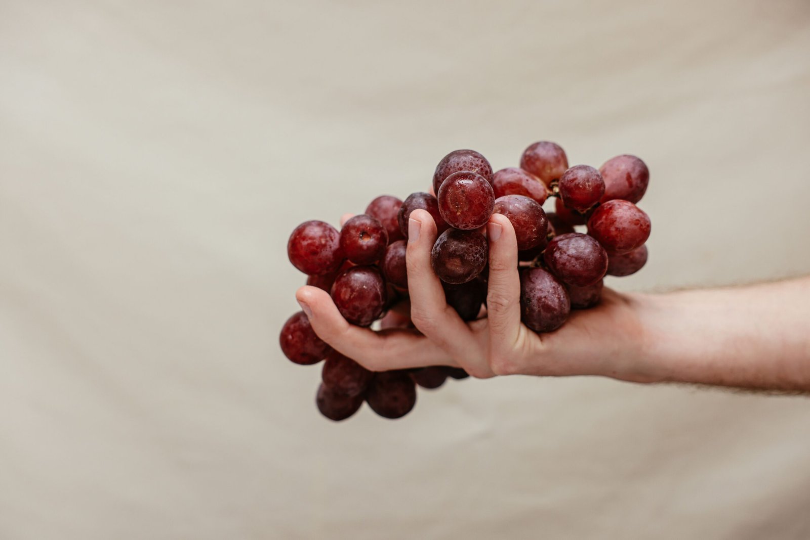 hand holding a bunch of fresh red grapes before juicing