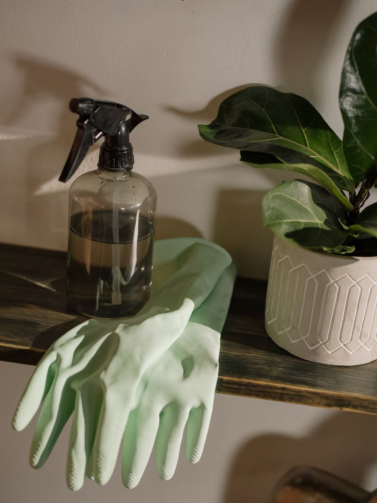 cleaning gloves and spray bottle used for deodorizing a kitchen appliance