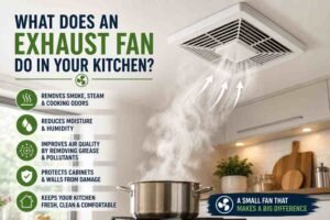 what does an exhaust fan do