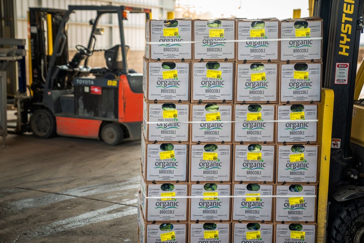 Forklift managing stacks of organic produce boxes in a wholesale warehouse
