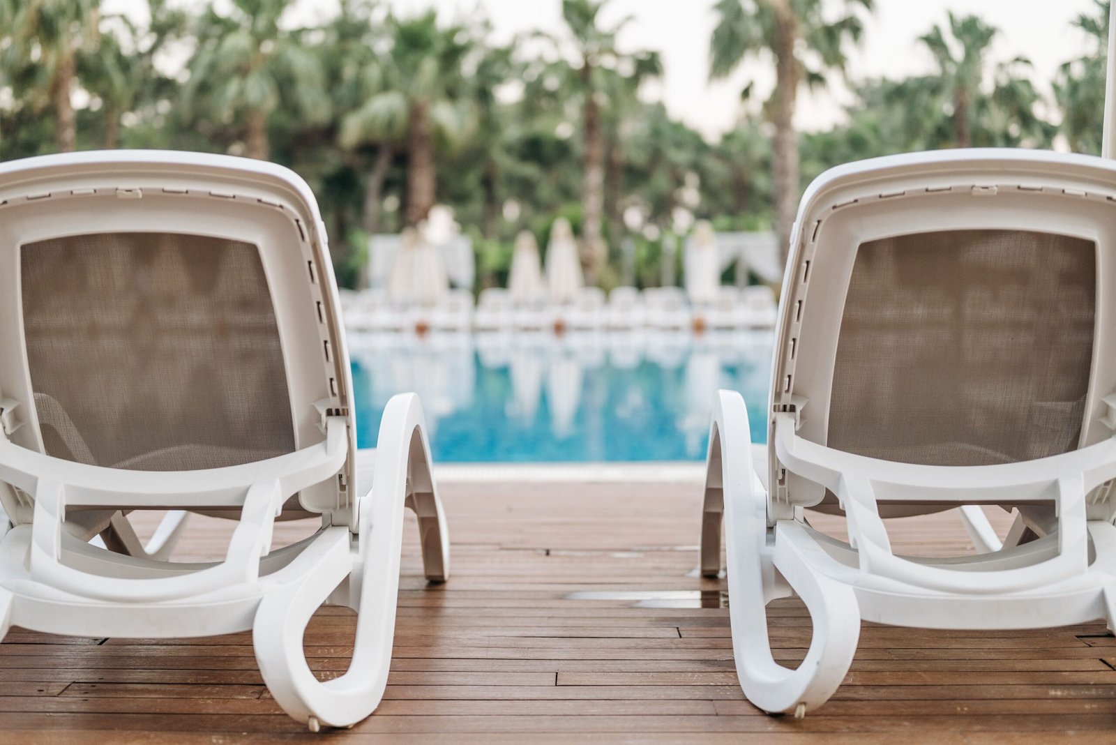 Poolside lounge chairs on a sunny deck surrounded by palm trees